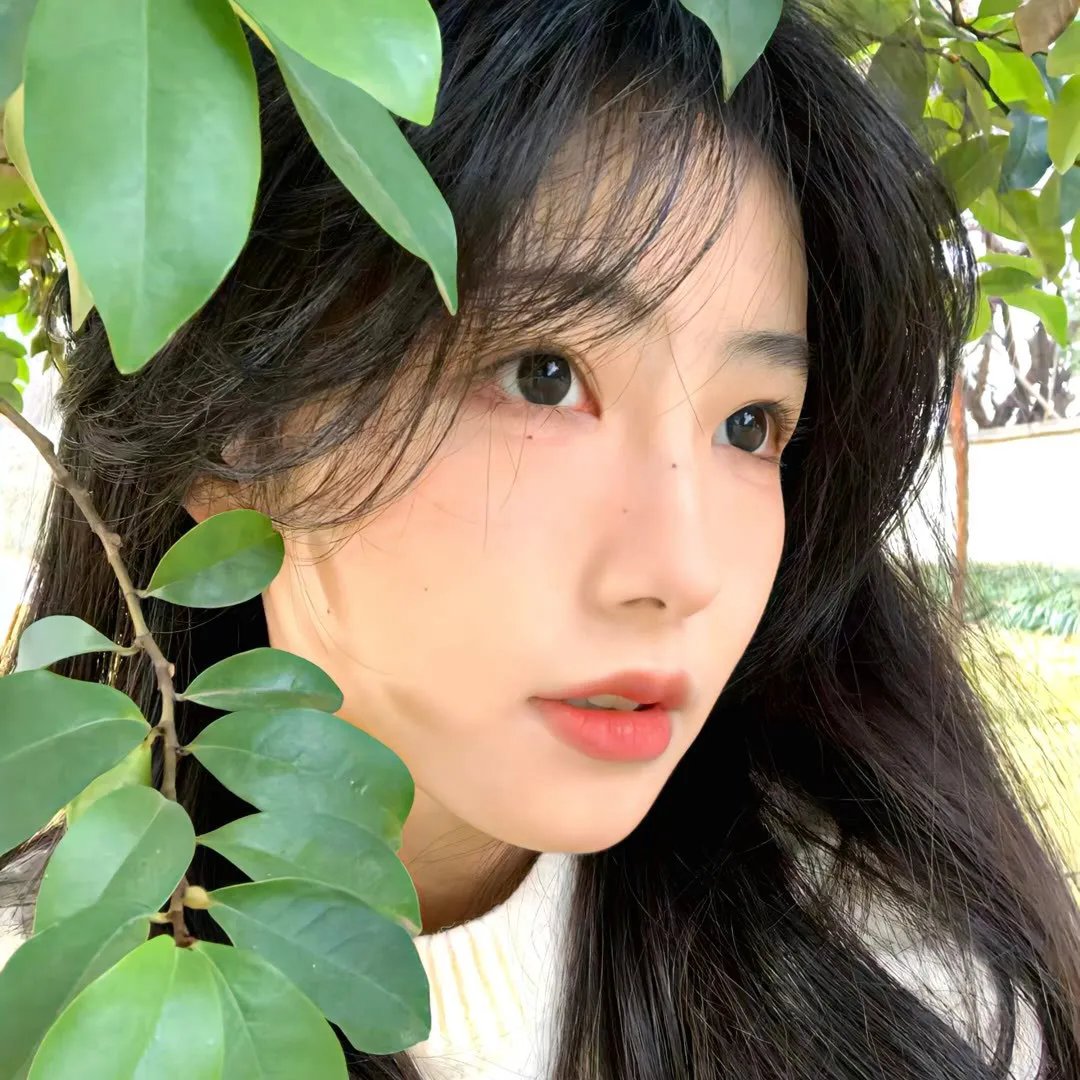 新玫瑰旅馆
